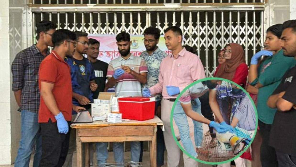 শিক্ষার্থীদের উদ্যোগে শেকৃবিতে পথপ্রাণীর ভ্যাকসিনেশন ক্যাম্পেইন